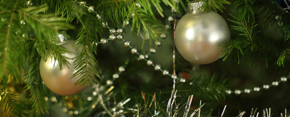 Silvery glass balls, tinsel and beads on green spruce branches. Close-up