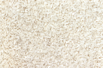 Raw white rice texture, asian and eastern food background, copy space