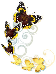 Flying yellow and brown butterflies.