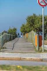 View of two women and a dog walking and talking on pedestrian wooden walkway, vegetation and sky as background