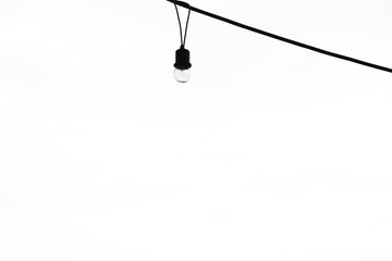 vintage light bulbs isoledted on white background