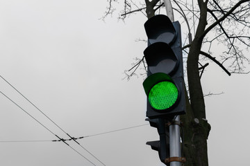 green traffic light on the background with tree and gray sky .