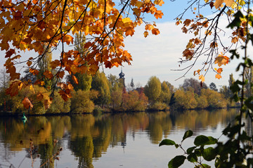 Herbstlaub am Main bei Kitzingen