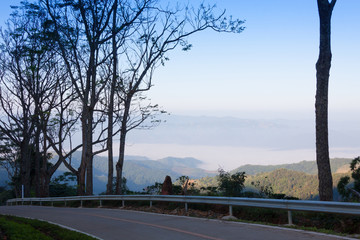 Beautiful scenery of nature and mist at Chiang Mai,Thailand