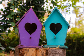 Colorful birdhouses with a heart-shaped door..