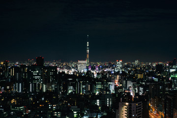 Tokyo night view with Tokyo Skytree on the background, shot from an observation deck in Bunkyo district