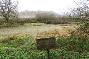 Das Flussbett der Donau ohne Wasser an der Donauversinkung