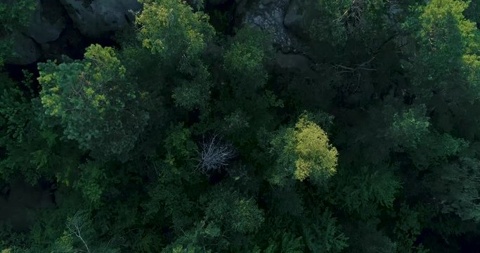 beautiful rocks in the forest mountains hill aerial 4k 50p