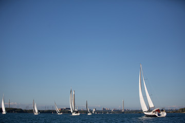 Regatta