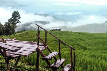 wood terraced with Rice Fields and mountain view in cloudy sky