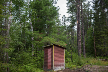 Fototapeta na wymiar Outhouse in Forest