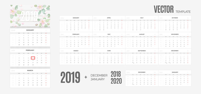 Wall Monthly Calendar 2019 year. Vector colorful template