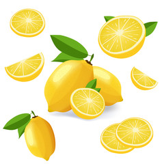 Collection of lemon icons fruits isolated on white background.