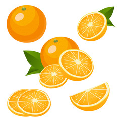Collection of orange fruits icons isolated on white background.
