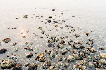 Detail of rocks on a beach