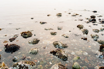 Detail of rocks on a beach