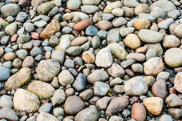 Detail of rocks on a beach
