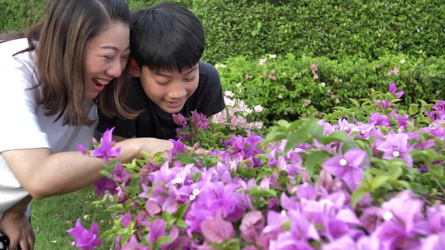 Happy asian family mother and son looking at pink flower in park . Recorded hand-held in slow motion at 4K .