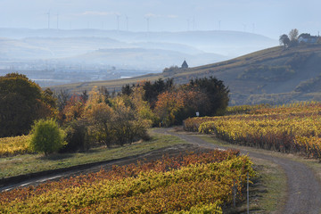 wi&szlig;berg in rheinhessen im herbst