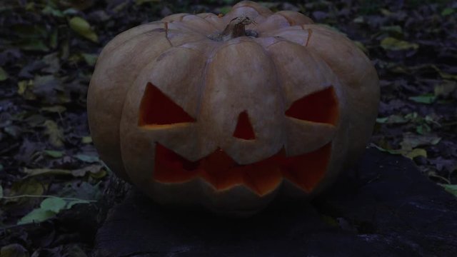 Jack-o'-lantern pumpkin Halloween holiday, a scary pumpkin.