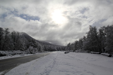 Nieve en Lago Falkner, Villa La Angostura, San Martin de los Andes, Siete Lagos, Neuquen, Patagonia...