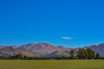 Fototapeta na wymiar green field and trees in front of Mount Hutt mountain range, Methven, New Zealand