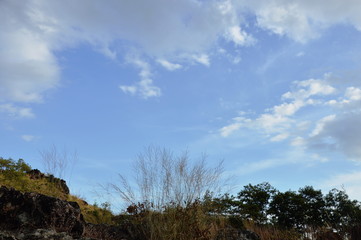 Fototapeta premium tree on hill at Khao Lon mountain in Thailand