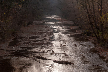 Flusslandschaft im Herbst