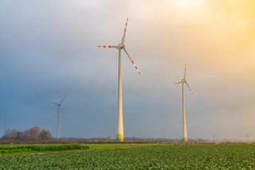 Windräder im Nebel