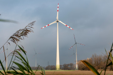 Windräder erneuerbare Energie
