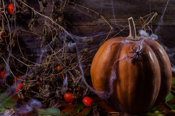 Pumpkin in the web and spiders on the background of the tree for Halloween