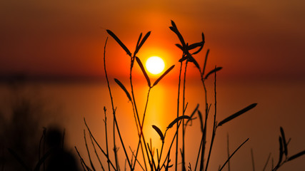 sun silhouette at sunset