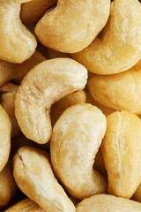 Organic Cashew with no shell on a background