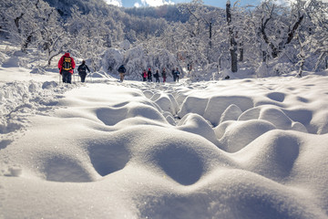 people walking on snow