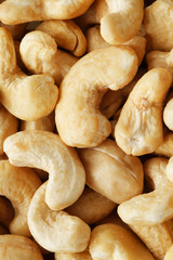 Organic Cashew with no shell on a background