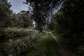 Fototapeta na wymiar The path along the canal