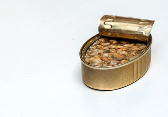 Cockles surrounded by white background