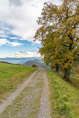 Wanderweg entlang eines Feldes mit Blick auf die Schweizer Alpen