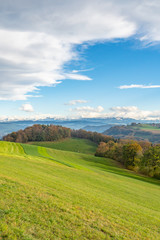 Fototapeta premium Wanderweg entlang eines Feldes mit Blick auf die Schweizer Alpen