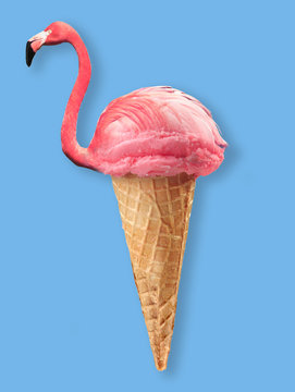 Ice Cream And Flamingo