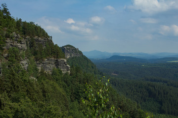 Fototapeta na wymiar Landscape in mountains in Czech Switzerland national park, pine forest and rocks 