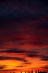Fototapeta na wymiar sunset sky pink blue