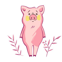 Funny pig. Isolated on white. Cute vector illustration. Symbol of the year in the Chinese calendar.