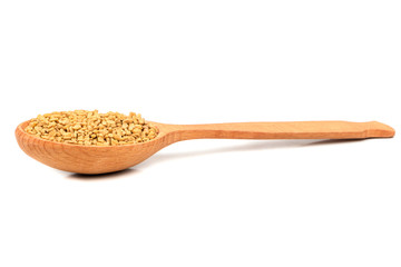 Seeds fenugreek in spoon