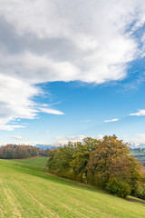 Fototapeta na wymiar Wanderweg entlang eines Feldes mit Blick auf die Schweizer Alpen