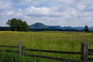 Landscape with meadow in the mountains, spring fields with green grass and mountains on background 