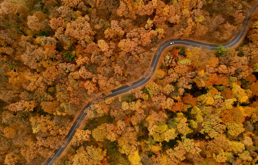 Obraz na płótnie Canvas Aerial view at the road in autumn forest
