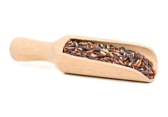 Wild rice in scoop