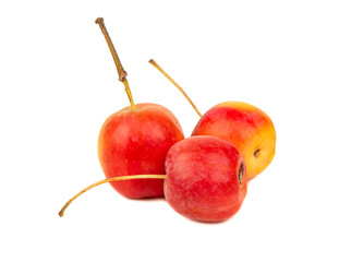 Three paradise apples