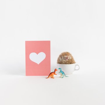 Hedgehog sitting in cup with blank greeting card and tiny dinosaurs